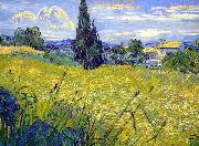 Vincent Van Gogh Landscape with Green Corn oil painting picture wholesale